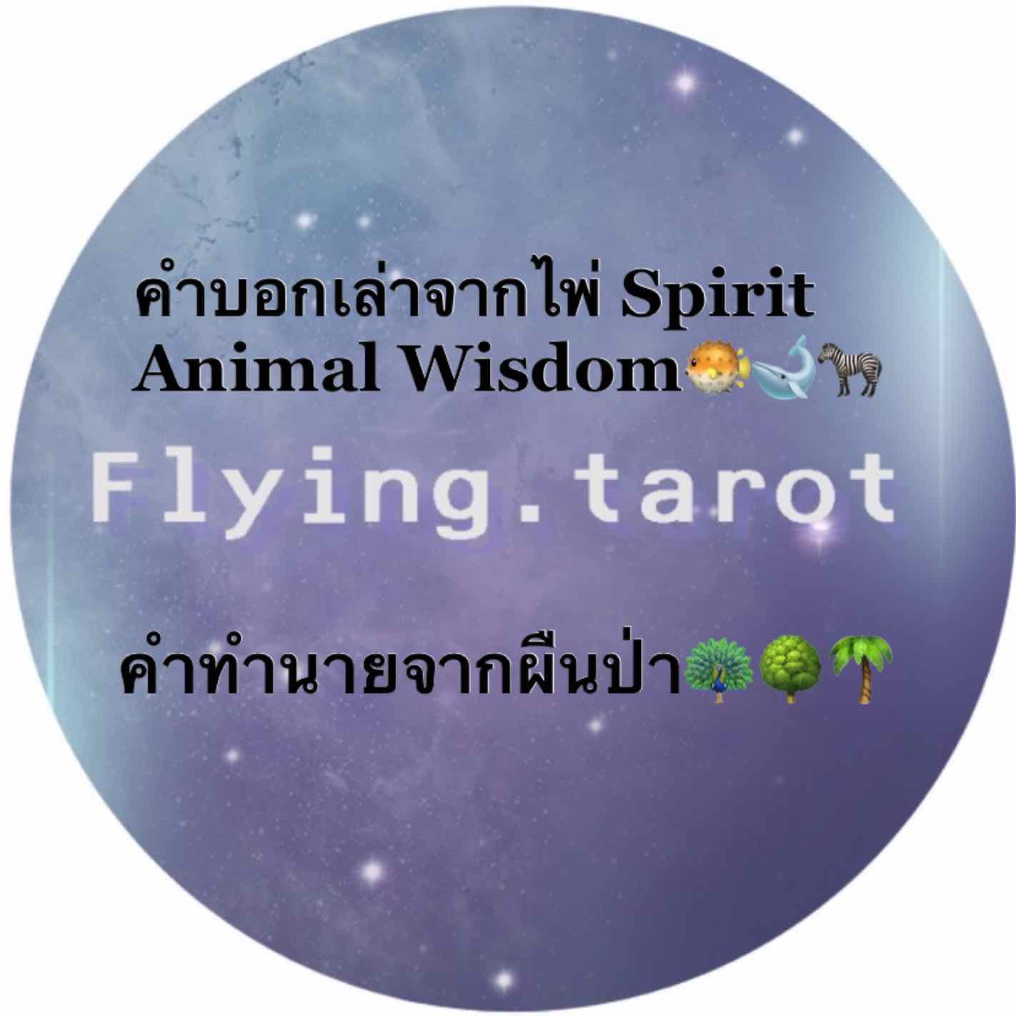 คำบอกเล่าจากไพ่ Spirit Animal Wisdom 