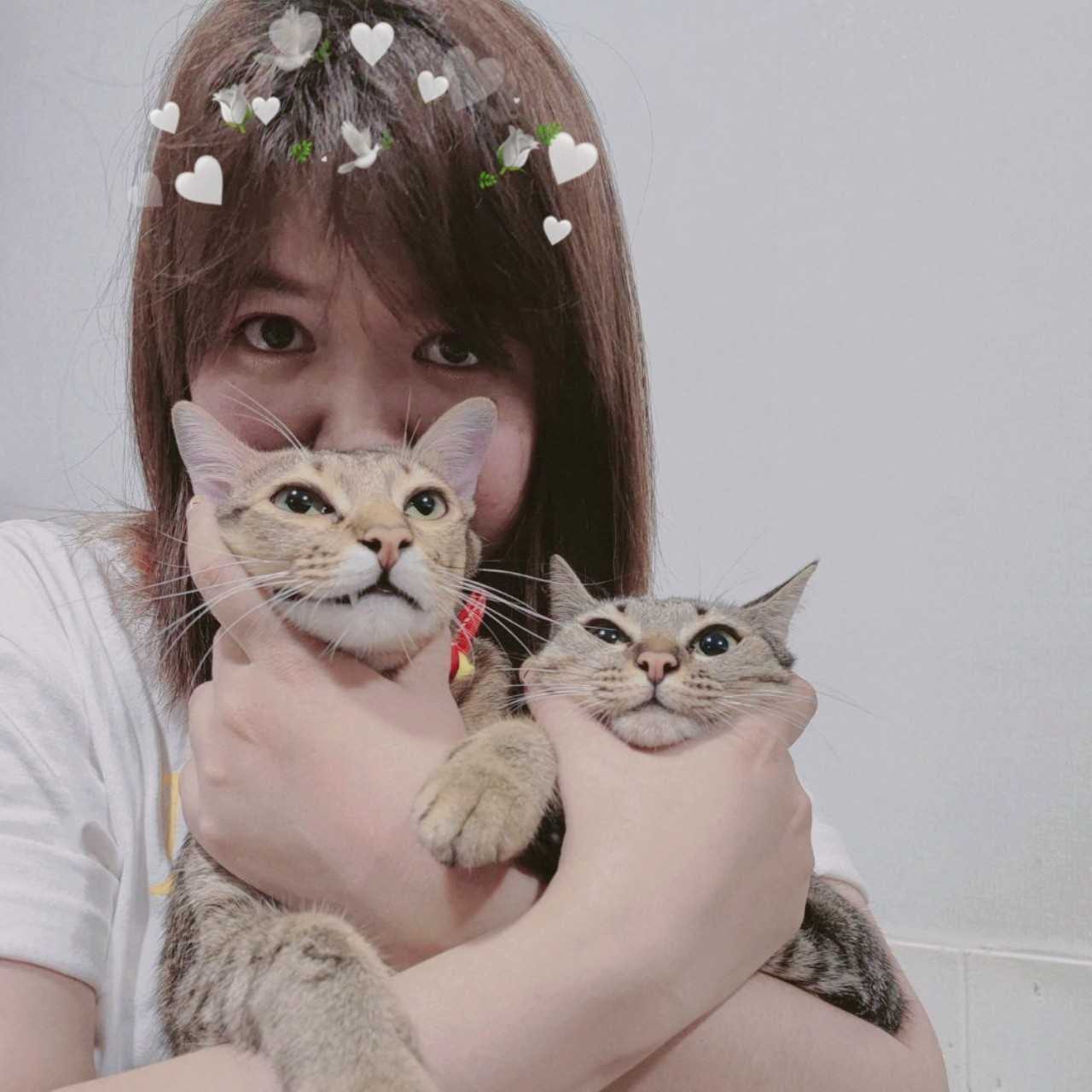 ดูดวงสมพงษ์ แบบญี่ปุ่นโบราณ 💕🔮🎌