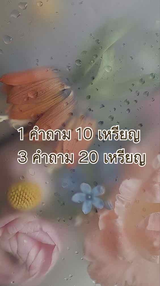 1 คำถาม 10 เหรียญ
3 คำถาม 20 เหรียญ