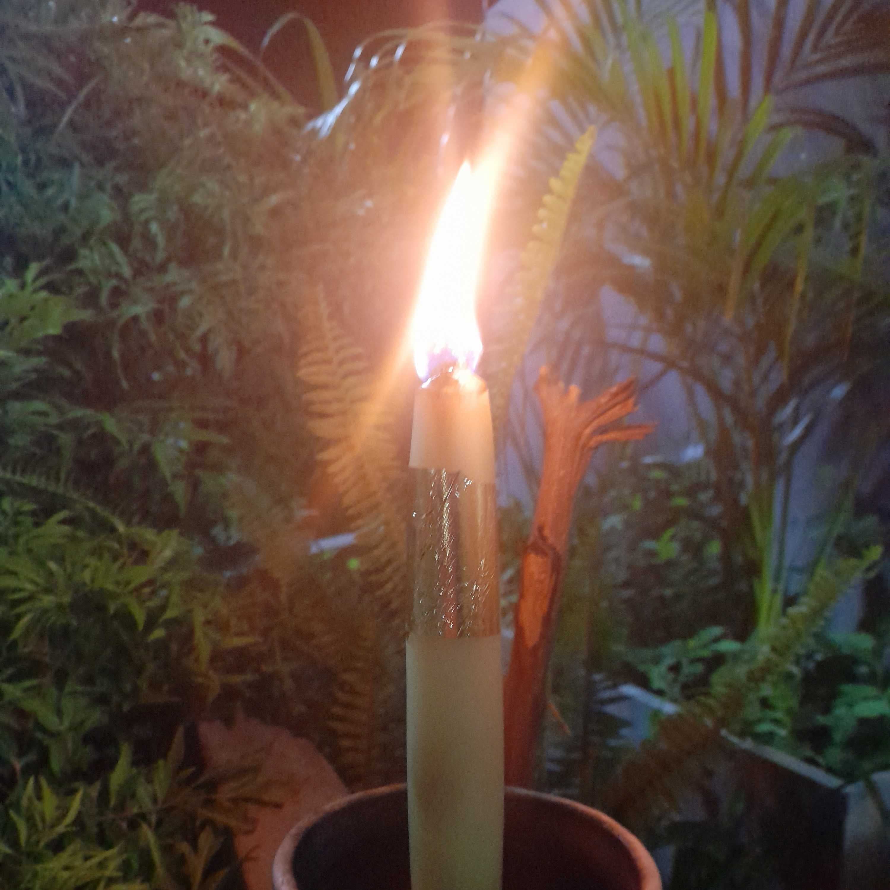 สื่อขอน 