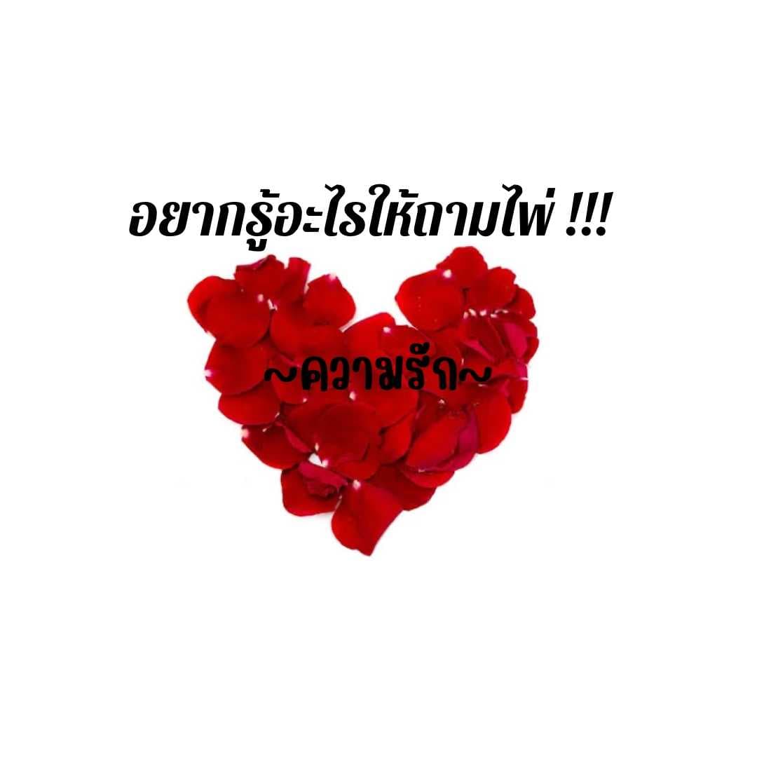 ไพ่ยิปซี