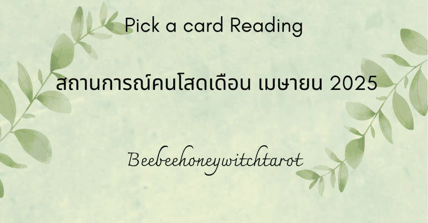 สถานการณ์คนโสดเดือน เมษายน 2025