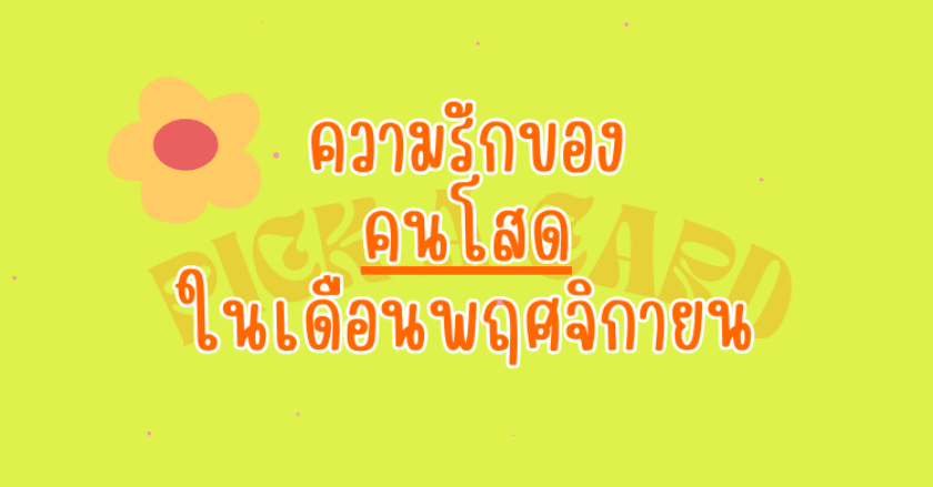 Pick a card with hi, please.....ความรักของ"คนโสด" ในเดือน พฤศจิกายน